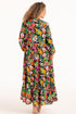 Rosa Faia Wild Garden Aymee Dress